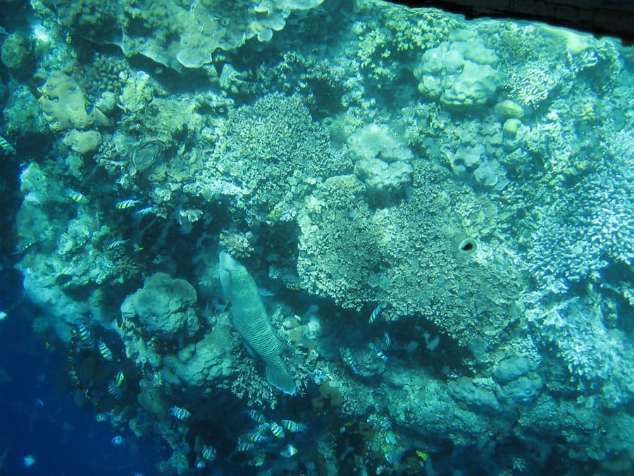 Bunaken Marine Park