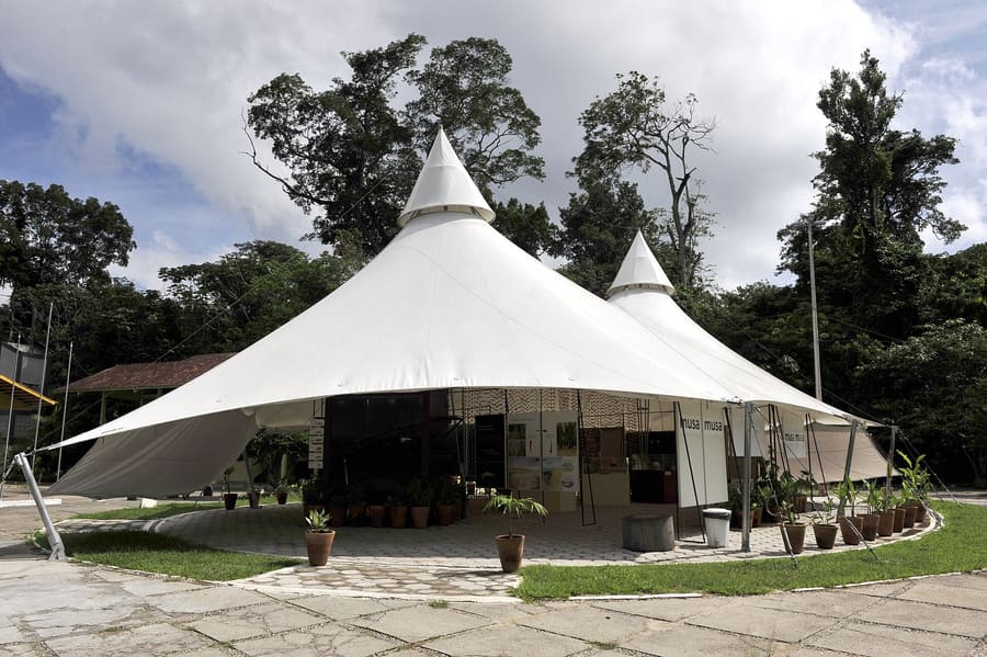 MUSA - Museu da Amazônia