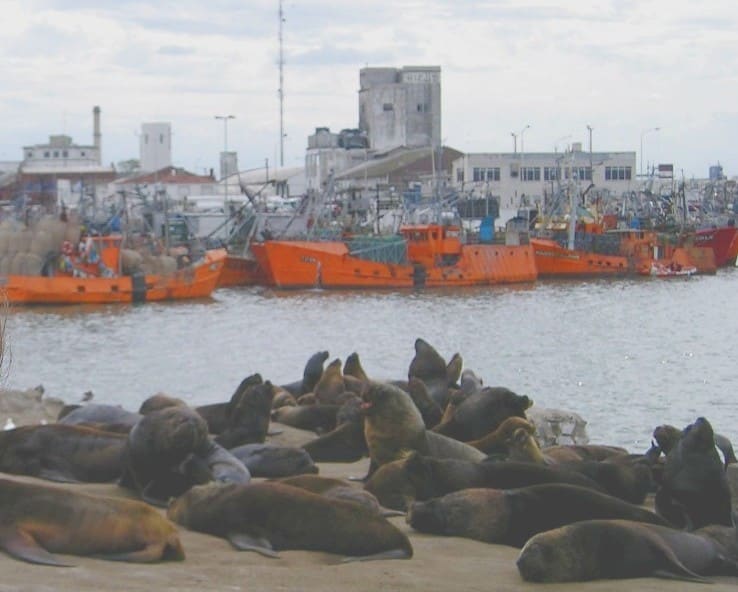 Banquina de Pescadores