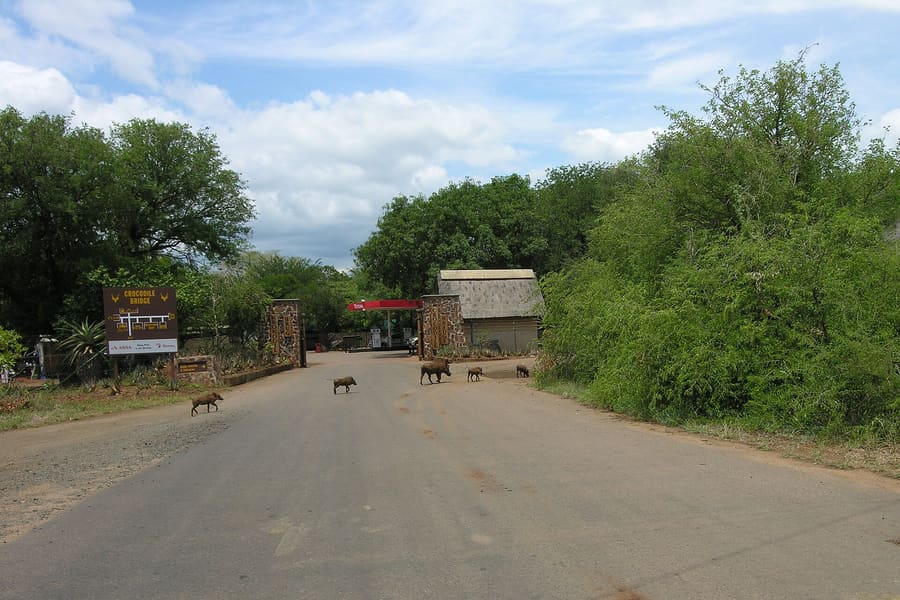 Crocodile Bridge Gate