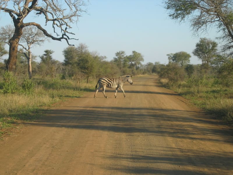 Lionspruit Border