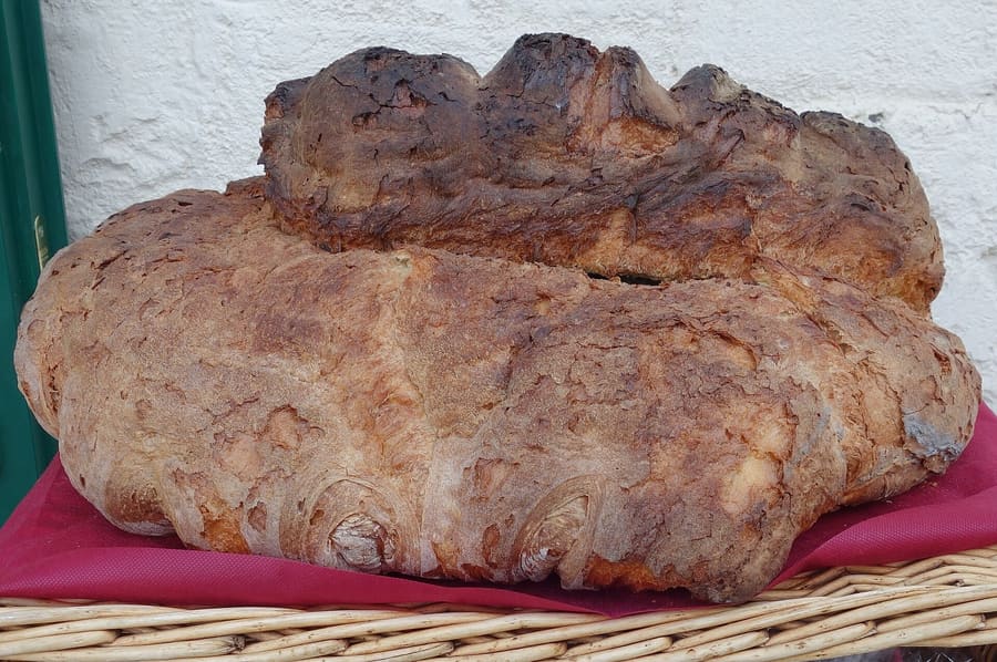 Pane di Matera IGP, baked from local durum wheat semolina.