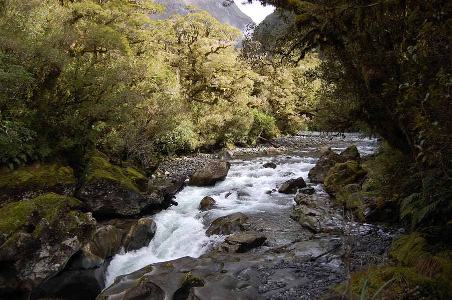 Cleddau Valley