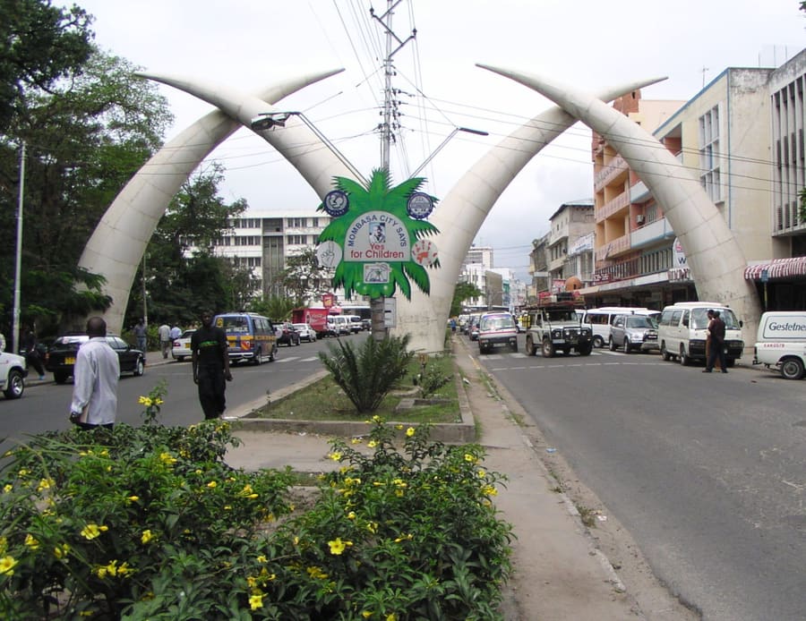 Elephant Tusks