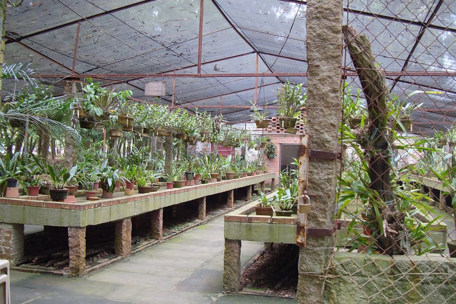 Orquidário MV