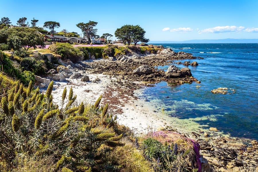 Pacific Grove Border