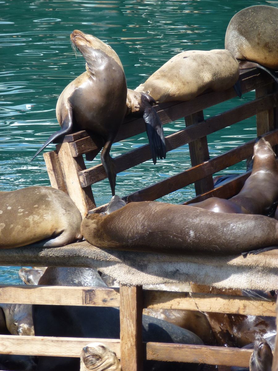 Fisherman's Wharf & Marina