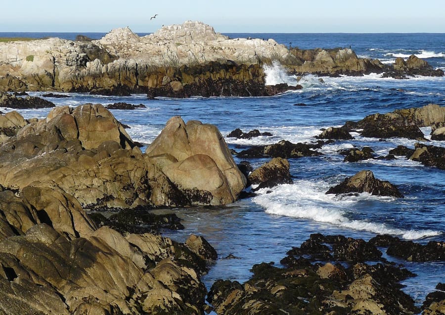 Monterey