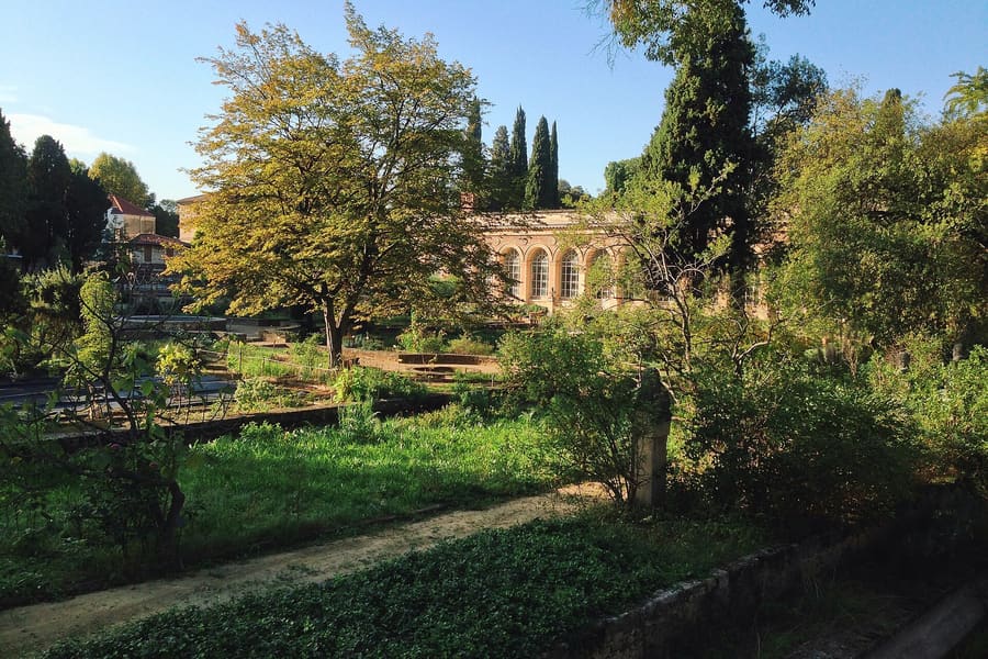 Jardin des Plantes