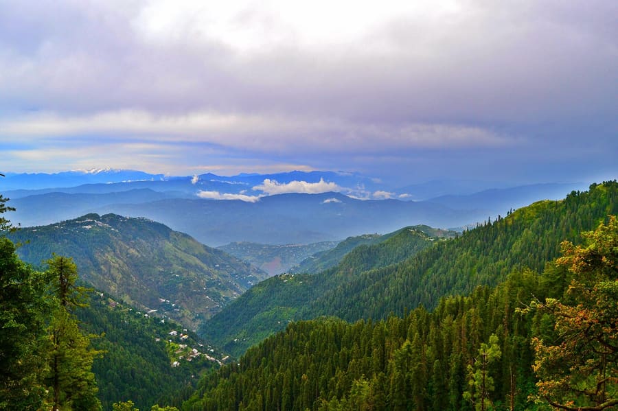 Ayubia National Park