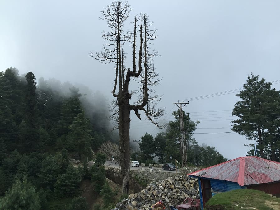 Changla Gali / Galiyat