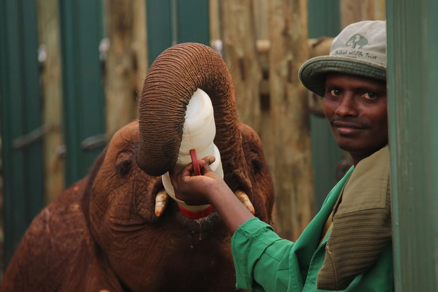Sheldrick Wildlife Trust