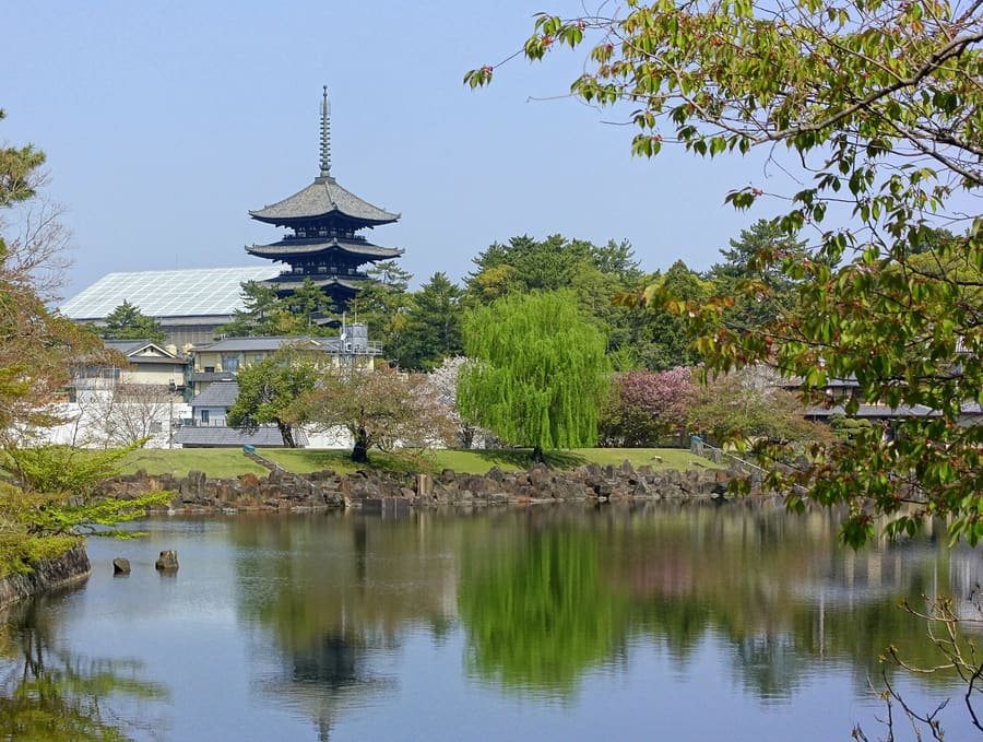 Nara Park
