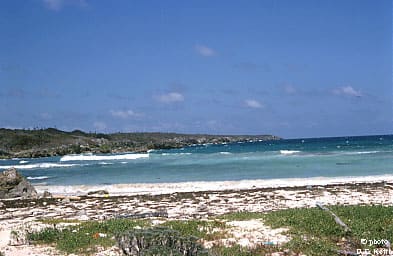 Booby Cay Island