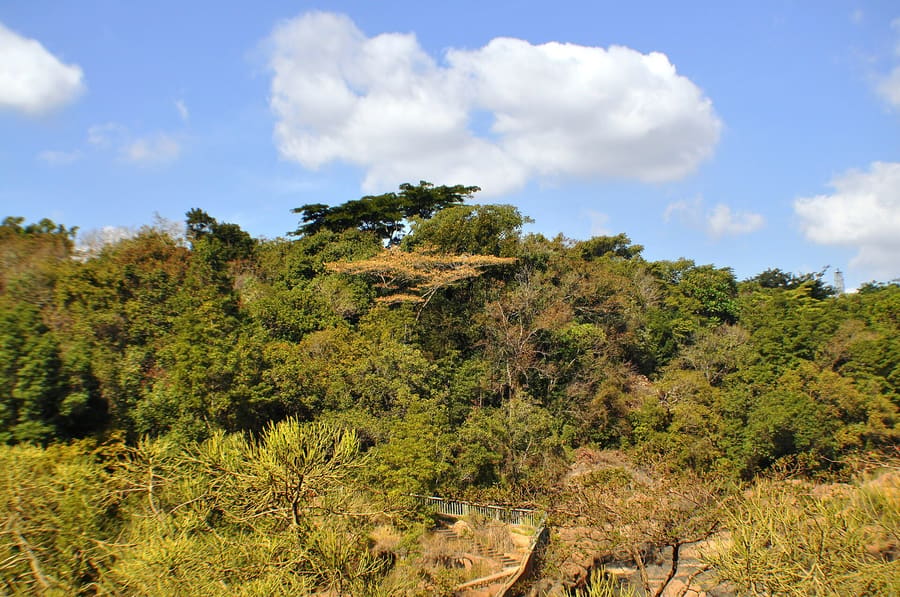 Steiltes Ridge
