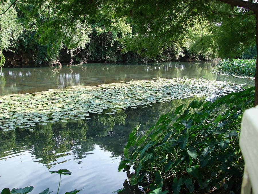 Comal River Tube Chute