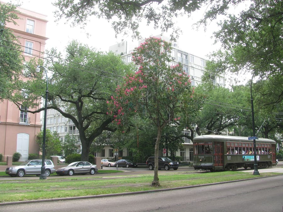 Garden District