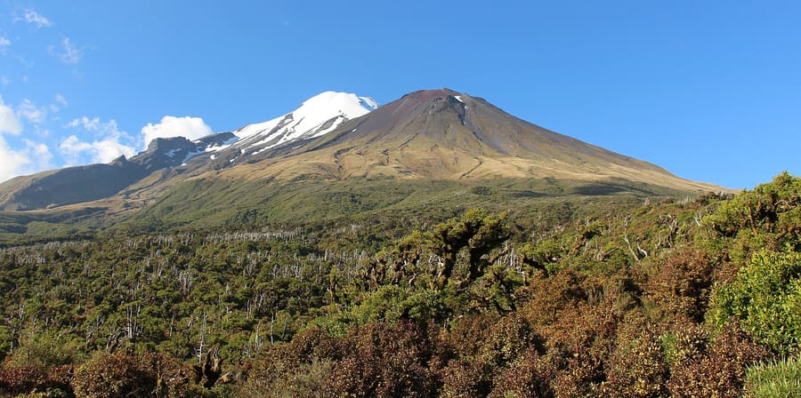 New Plymouth