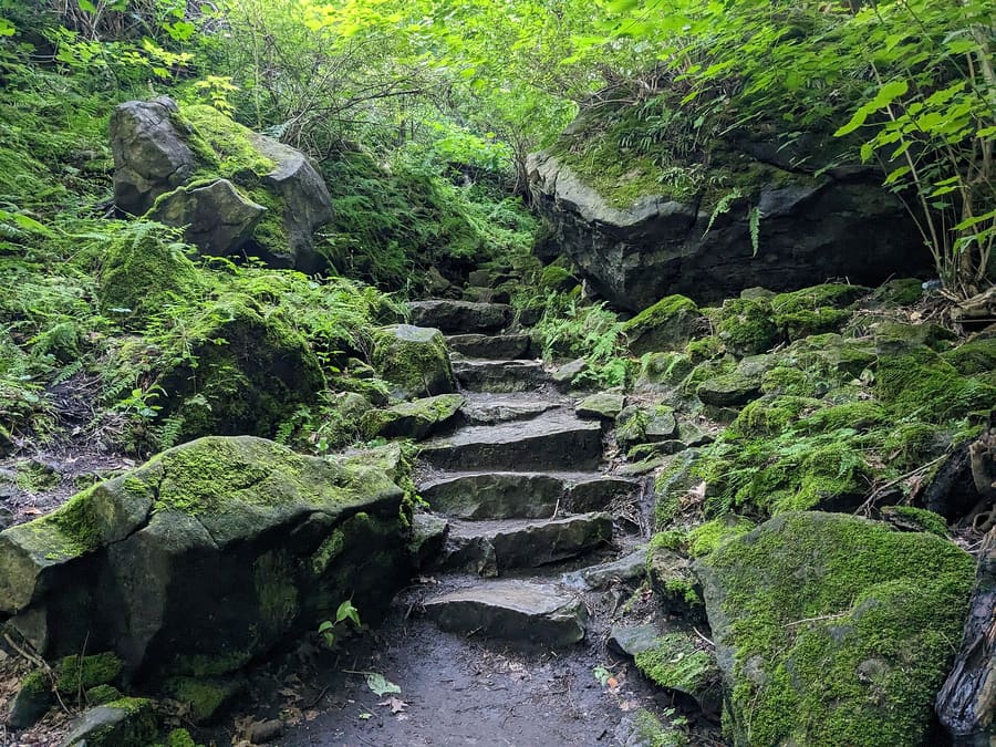 Niagara Glen Nature Reserve