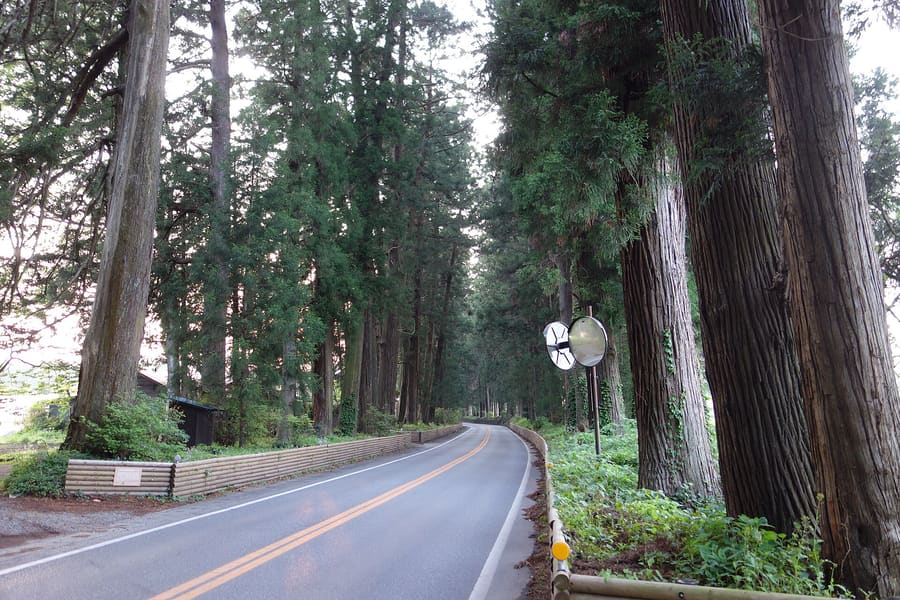 Nikko