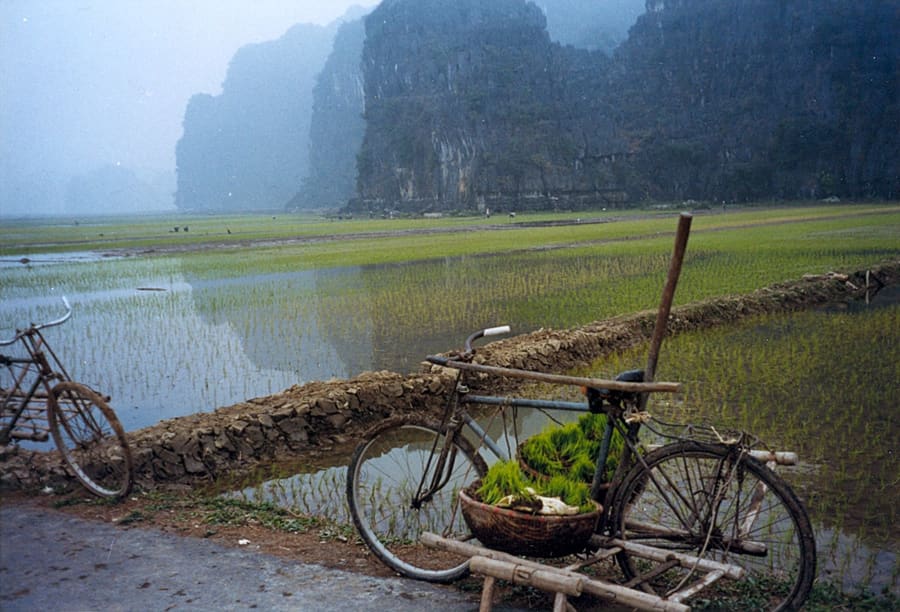 Trang An Countryside