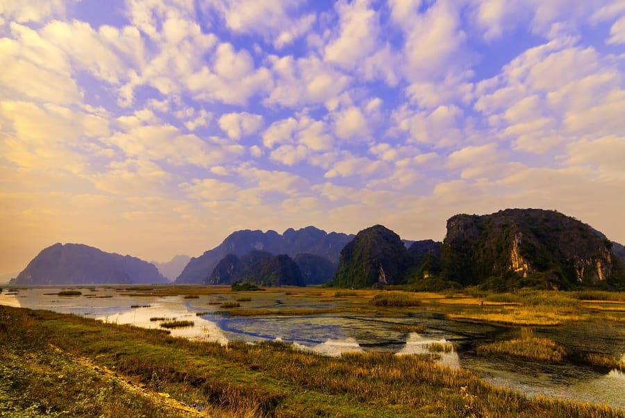 Van Long Wetland