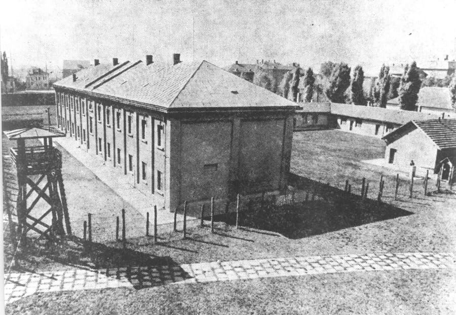 Red Cross Camp