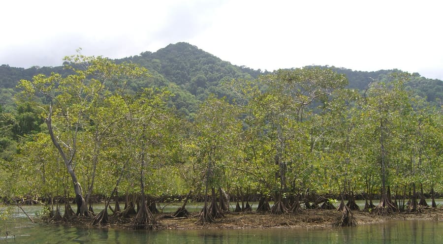 Ensenada de Utría National Park