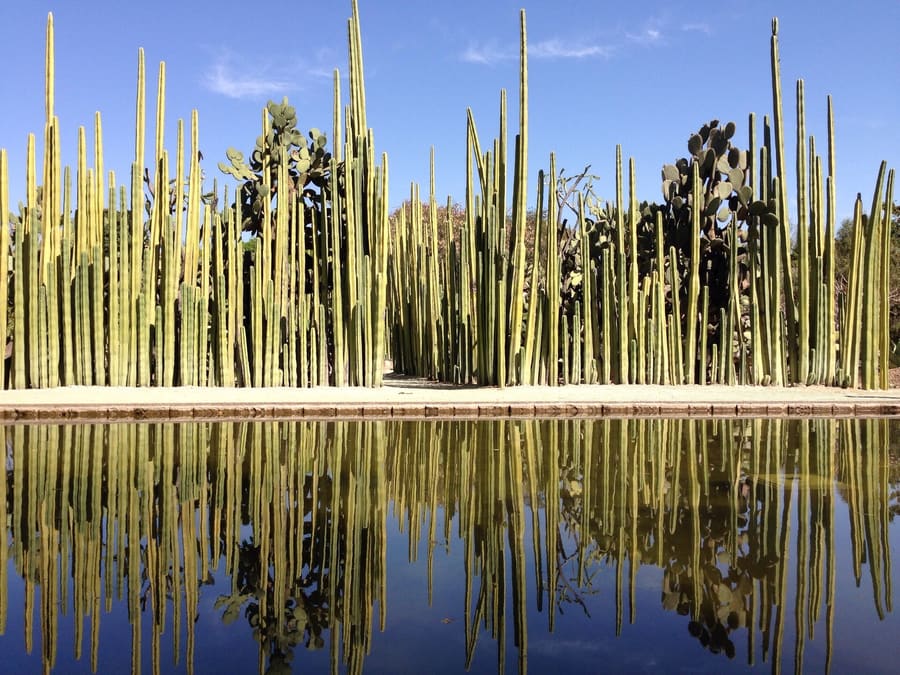 Jardín Etnobotánico de Oaxaca