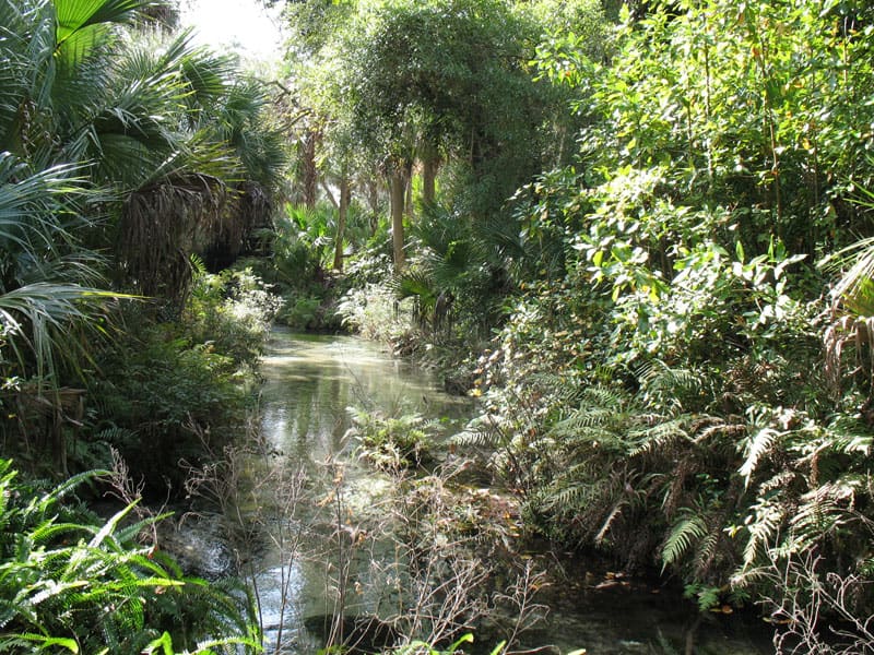 Juniper Springs Recreation Area
