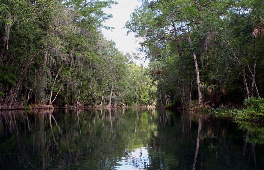 Silver Springs