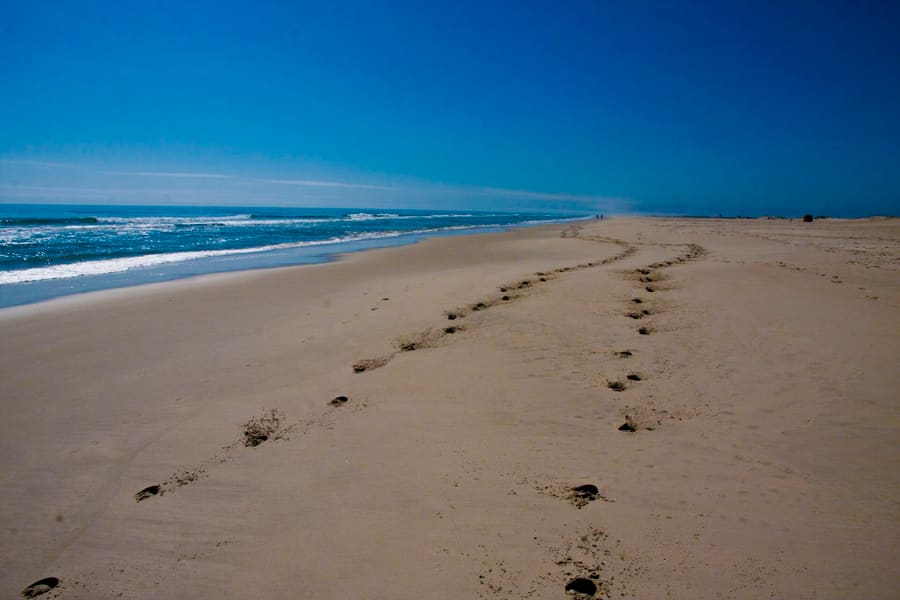 Assateague Island