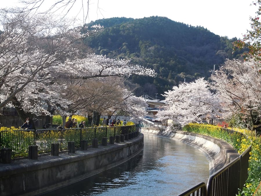 Lake Biwa Canal