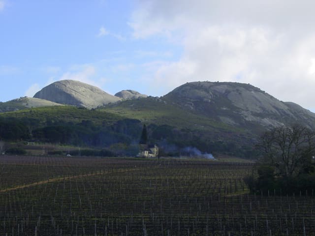Paarl