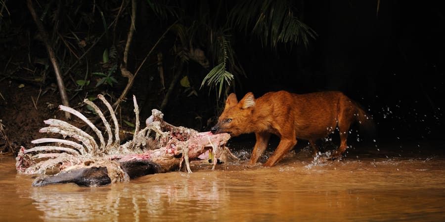Khao Yai National Park