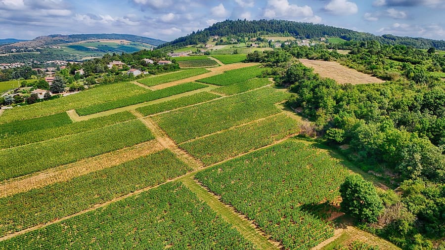 PB Valley Khao Yai Winery