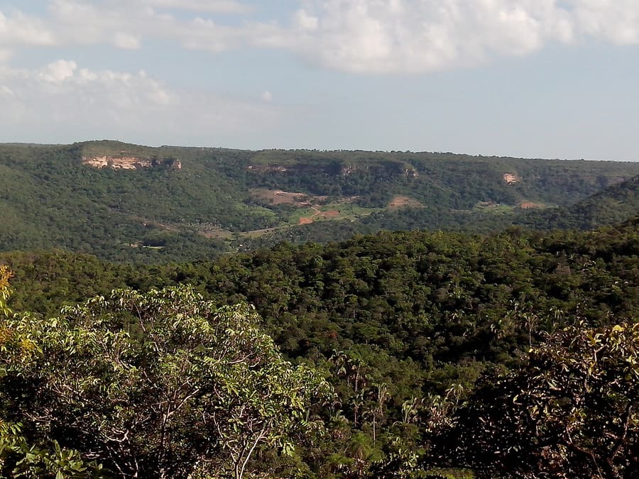 Taquaruçu