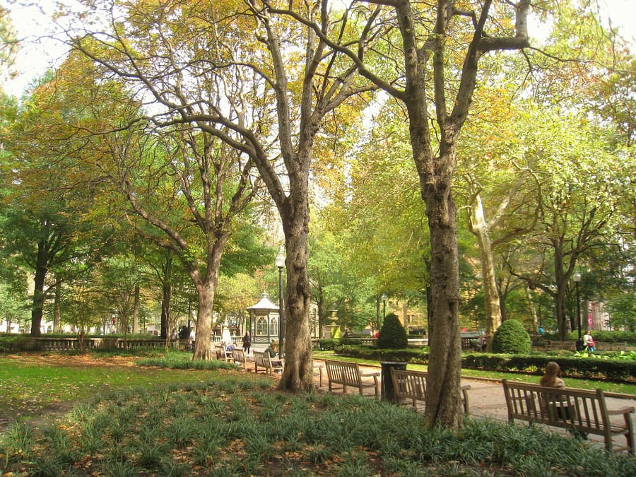 Rittenhouse