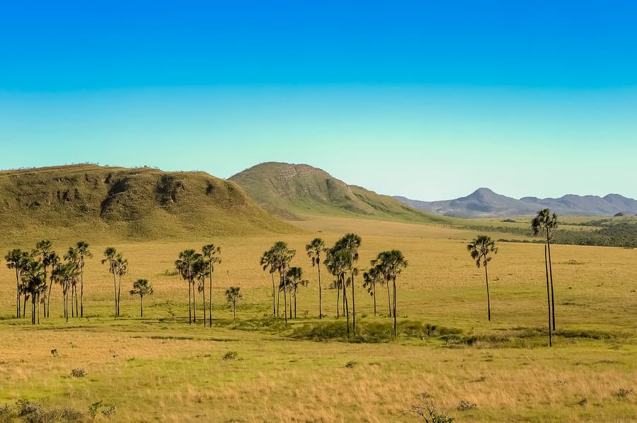 Zona Rural