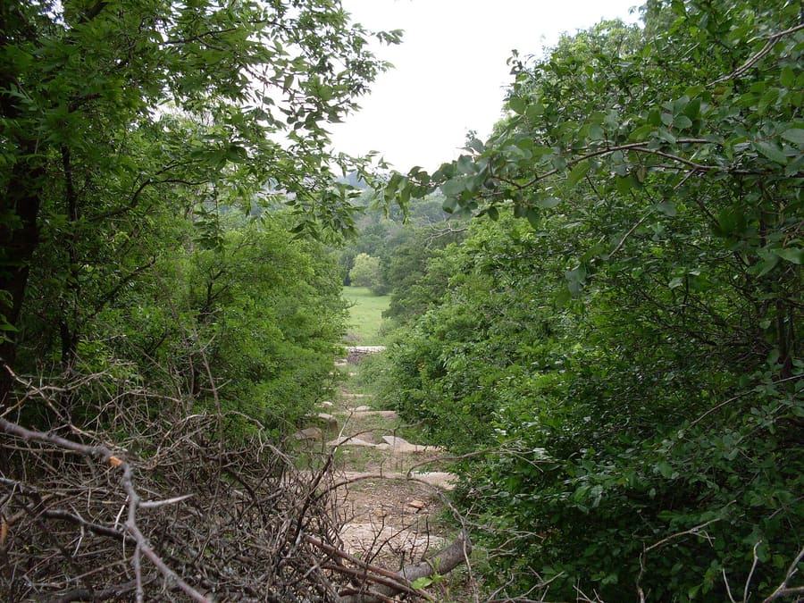 Arbor Hills Nature Preserve