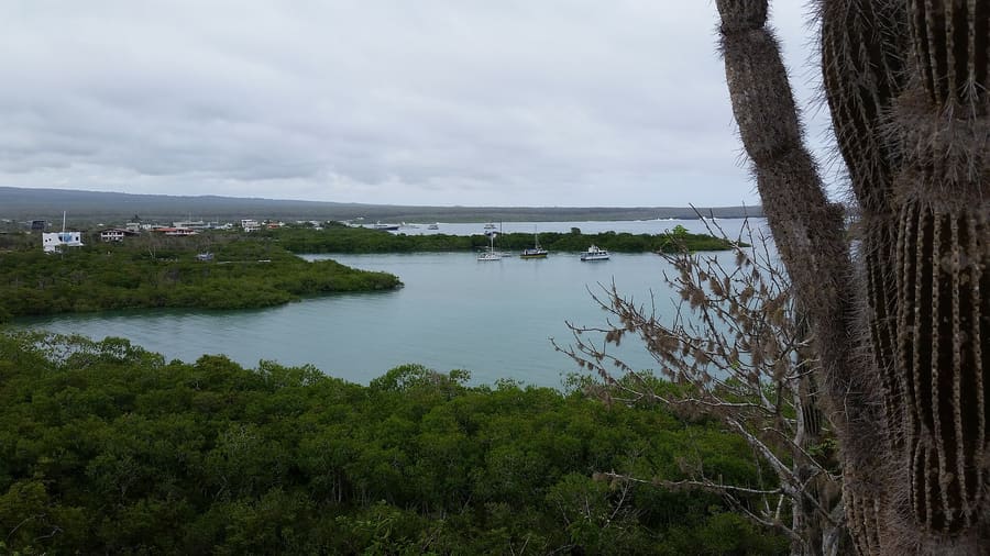 Punta Estrada