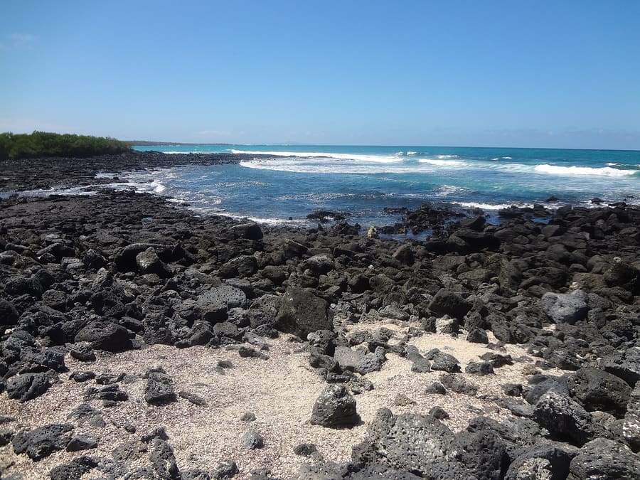 Tortuga Bay