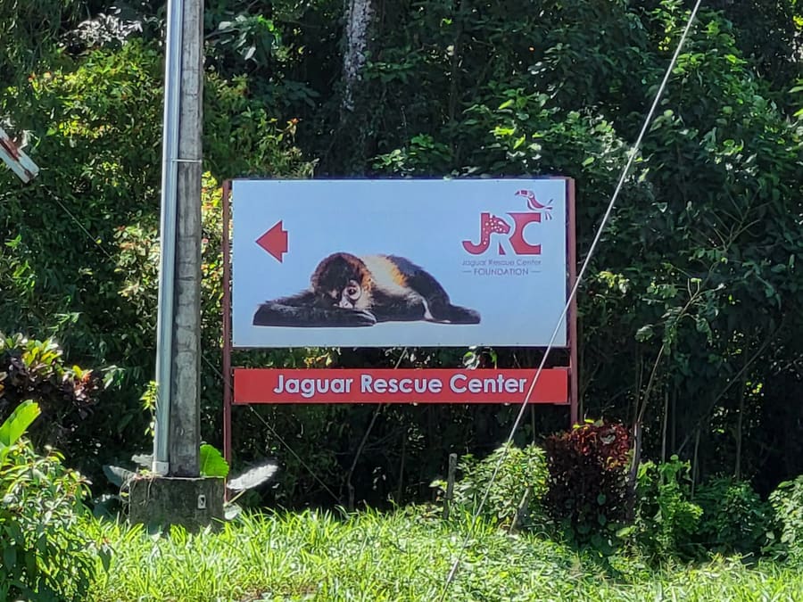 Jaguar Rescue Center