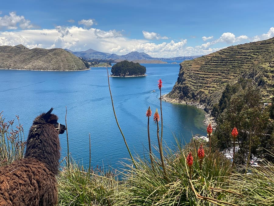 Puno