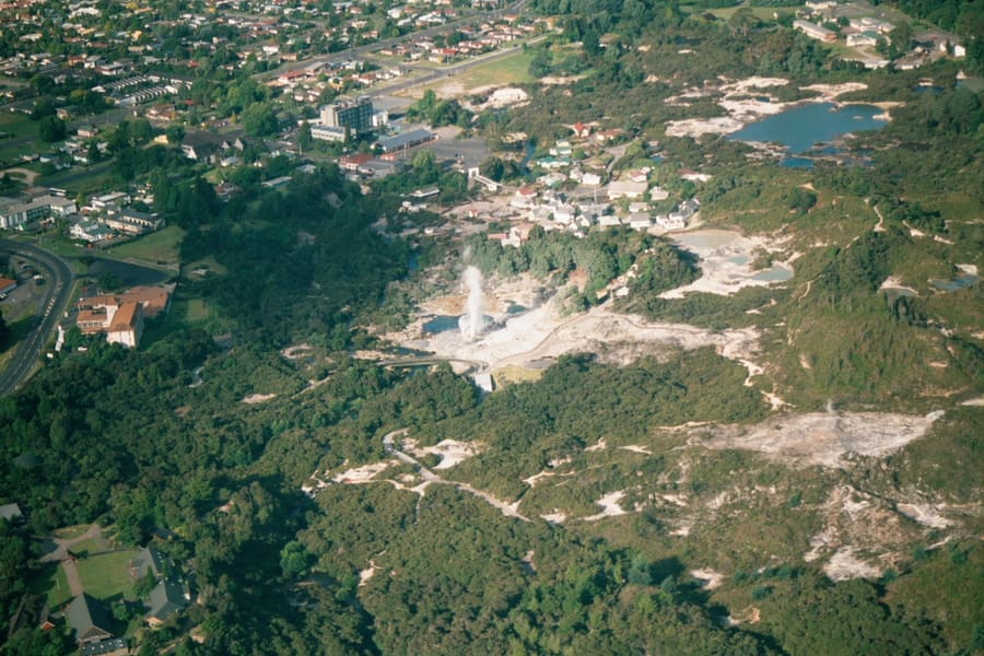 Whakarewarewa & Fenton Park