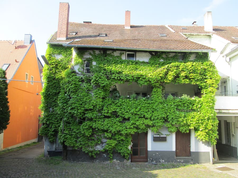 St. Johann