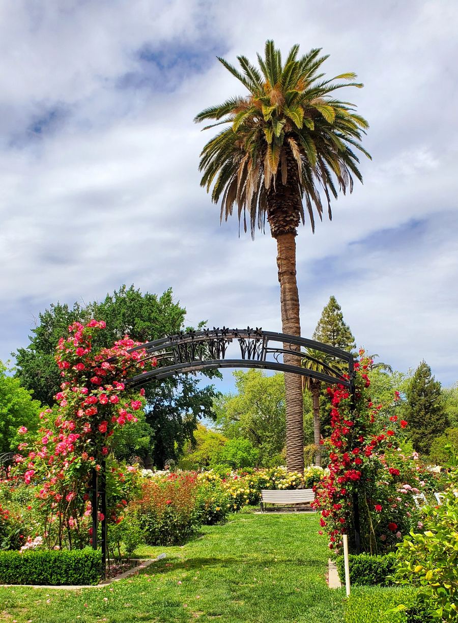 East Sacramento