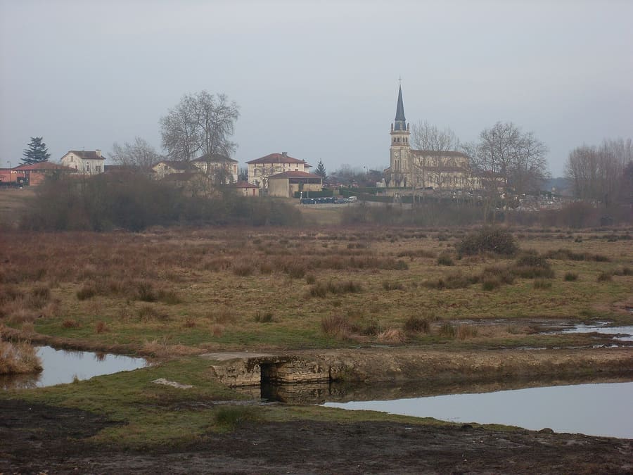 Les Barthes Reserve