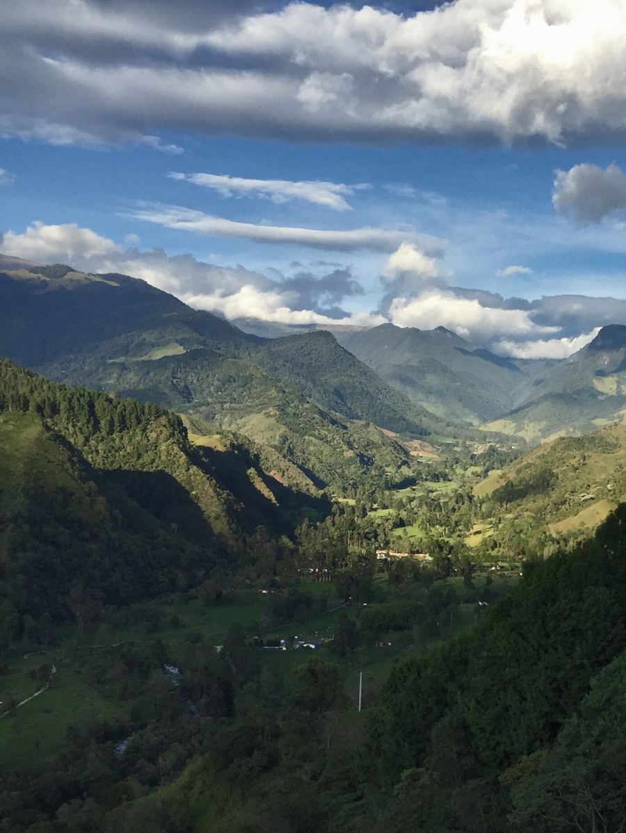Valle de Cocora