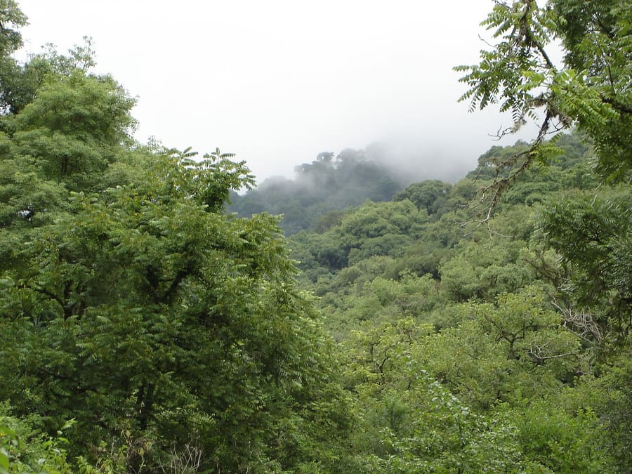 San Lorenzo